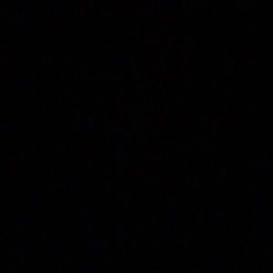 Meet your Posher, Ann